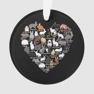 Love Bunnies Funny Coeur lapin