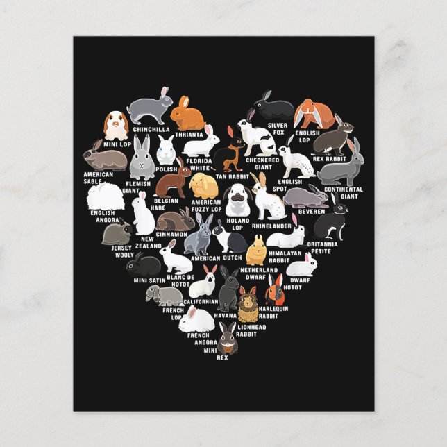 Love Bunnies Funny Rabbit Heart (Front)