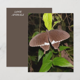 LOVE BUTTERFLY GIFT FOR ANYONE  CARD