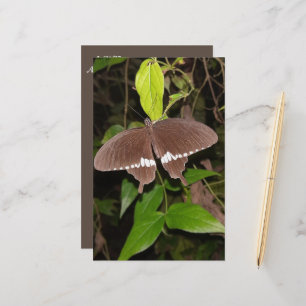 LOVE BUTTERFLY GIFT FOR ANYONE STATIONERY