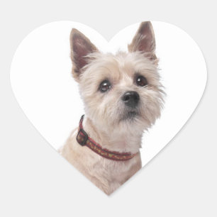 Love Cairn Terrier Puppy Dog Greeting Stickers