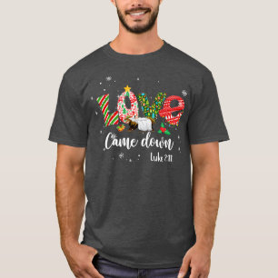 Love Came Down Luke 211 Baby Jesus Christmas Famil T-Shirt