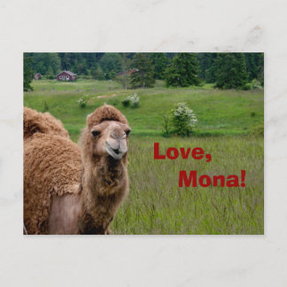 Love, carte postale Mona