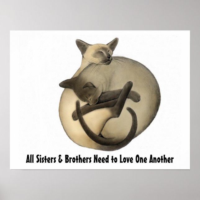 Love Cats Poster (Front)