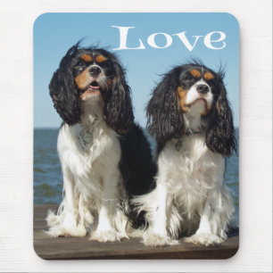 Love Cavalier King Charles Spaniel Puppy Mousepad