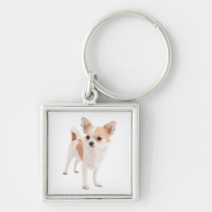 Love Chihuahua Puppy Dog Keychain