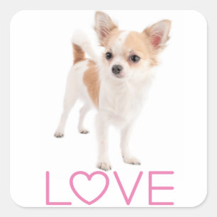 Love Chihuahua Puppy Dog Stickers / Seals