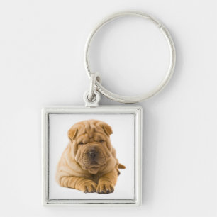 Love Chinese Shar Pei Puppy Dog Keychain