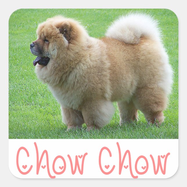 Love Chow Chow Chien Chien Stickers de voeux (Devant)