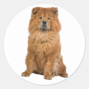 Love Chow Chow Puppy Dog Greeting Stickers