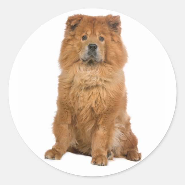 Love Chow Chow Puppy Dog Greeting Stickers (Front)