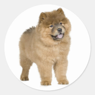 Love Chow Chow Puppy Dog Greeting Stickers