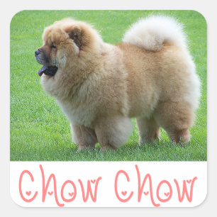 Love Chow Chow Puppy Stickers