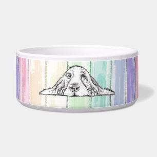 love conquers all dog rainbow basset hound