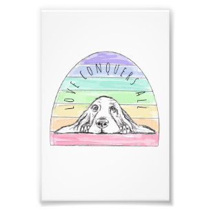 love conquers all dog rainbow basset hound  photo print