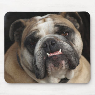Love Cute English Bulldog Puppy Dog Mousepad