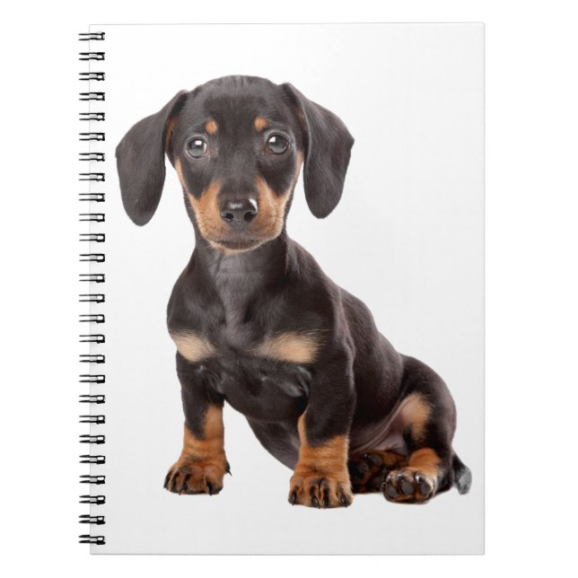 Love Dachshund Puppy Black & Tan Dog Notebook (Front)