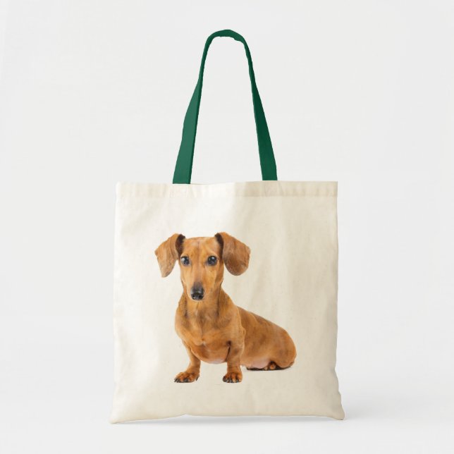 Love Dachshund Puppy Dog Canvas Tote Bag (Front)