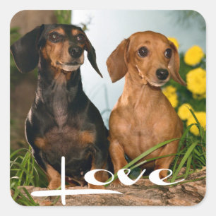 Love Dachshund Puppy Dog Sticker / Seal
