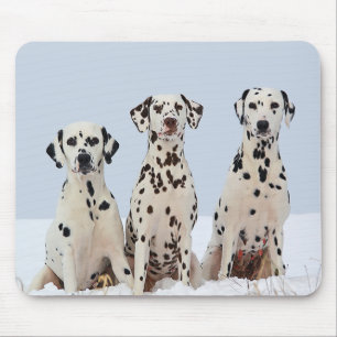 Love Dalmatian Puppy Dog Mousepad