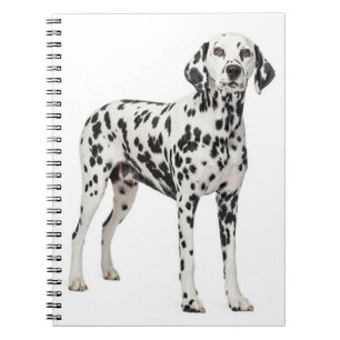 Love Dalmatian Puppy Dog - Spotted Fire Dog Notebook