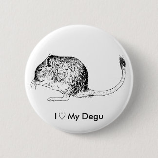 Love Degus - Pins