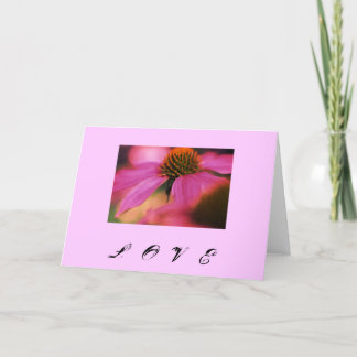 "Love Echinacea" Holiday Card
