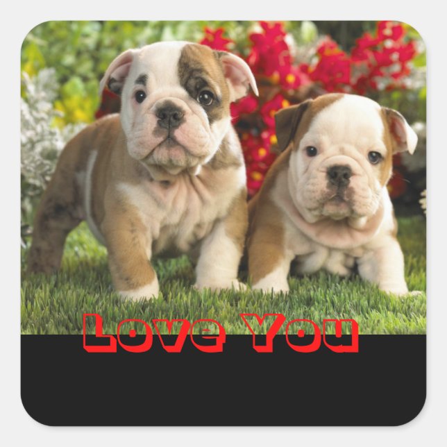 Love English Bulldog Puppy Dog Greeting Sticker (Front)