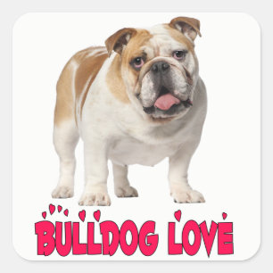 Love English Bulldog Puppy Dog Sticker / Seal