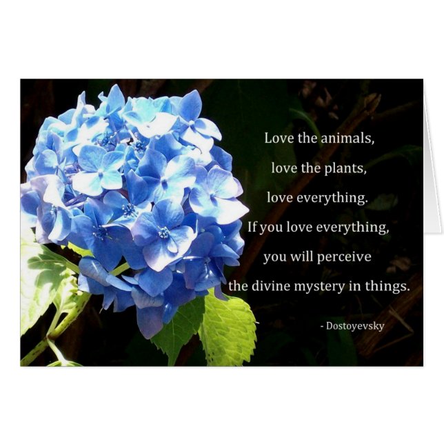 Love everything (Front Horizontal)