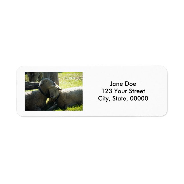 Love Ewe Sheep Customizable (Front)