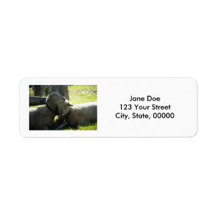 Love Ewe Sheep personnalisable