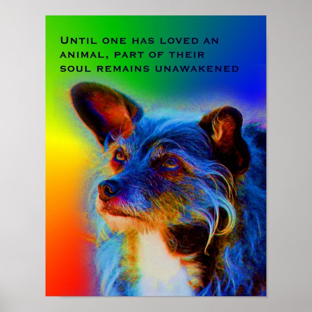 Love For Animals Quote Inspirational Poster (Front)