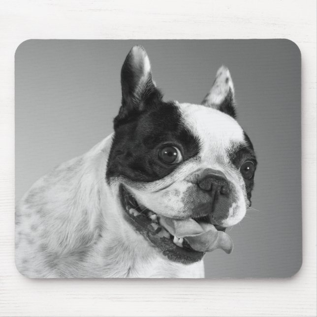 Love French Bulldog Puppy Dog Black And White Mouse Pad (Front)