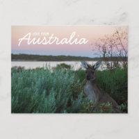 Love From Australia Kangaroo Sunset Lake Postcard