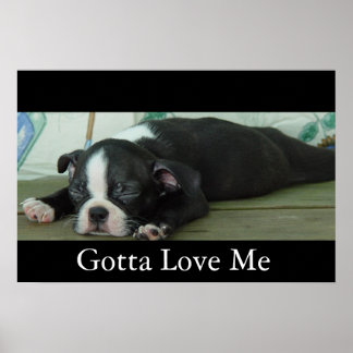 Love From Boston Poster