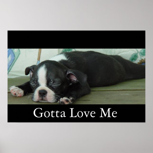 Love From Boston Poster (Front)