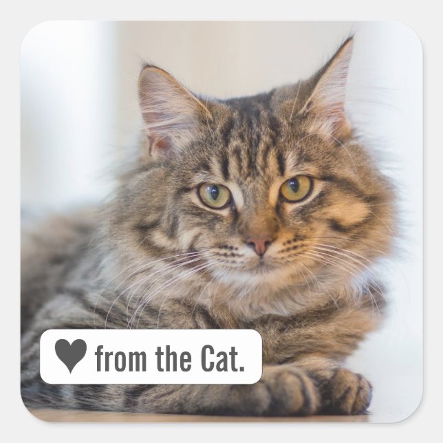 Love from Cat with Heart Carré Enveloppe Sticker (Devant)