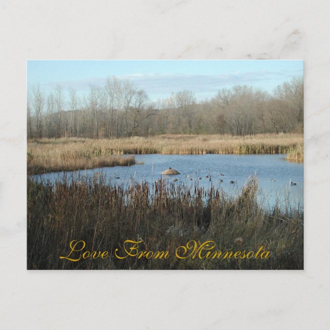 Love From Minnesota Postcard by Janz (Front)