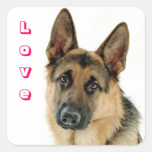Love German Shepherd Puppy Dog Stickers
