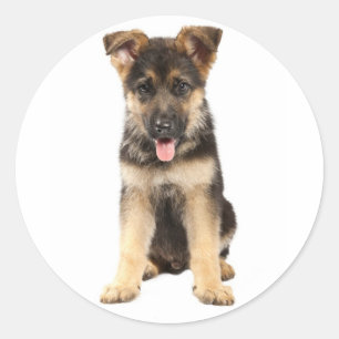 Love German Shepherd Puppy Dog Stickers