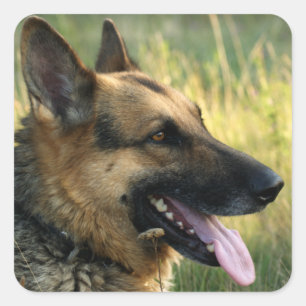 Love German Shepherd Puppy Dog Stickers