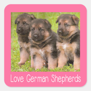 Love German Shepherd Puppy Pink Dog Stickers