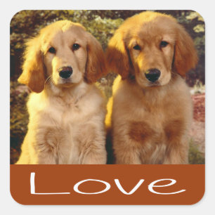 Love Golden Retriever Puppy Dog Brown Stickers