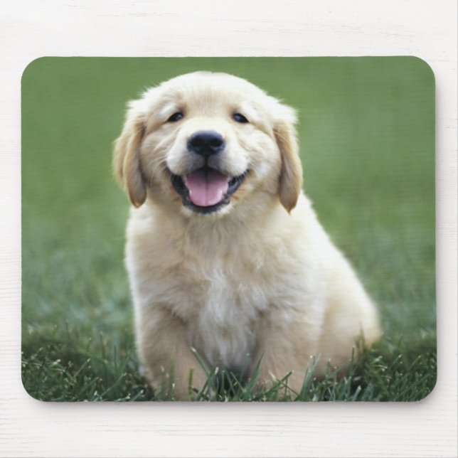 Love Golden Retriever Puppy Dog Green Grass Mouse Pad (Front)