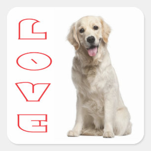 Love Golden Retriever Puppy Dog Stickers
