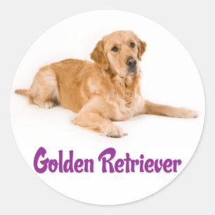 Love Golden Retriever Puppy Dog  Stickers