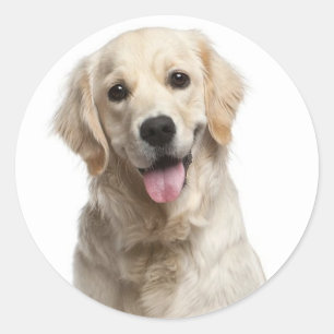 Love Golden Retriever Puppy Dog Stickers