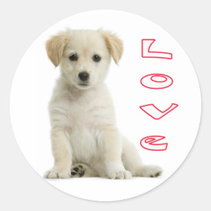 Love Golden Retriever Puppy Dog  Stickers