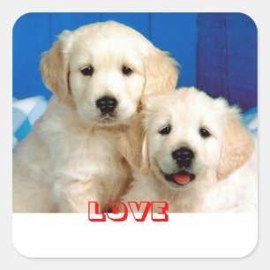 Love Golden Retriever Puppy Dog Stickers